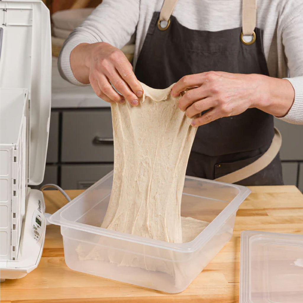 Brød & Taylor Proofing Container 6L