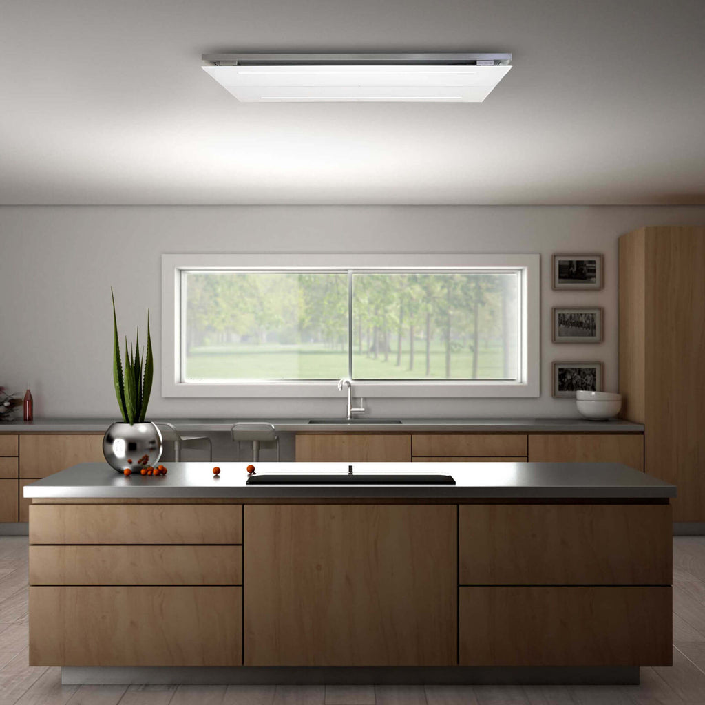 Witt WS 960-2 Ceiling hood Stainless Steel