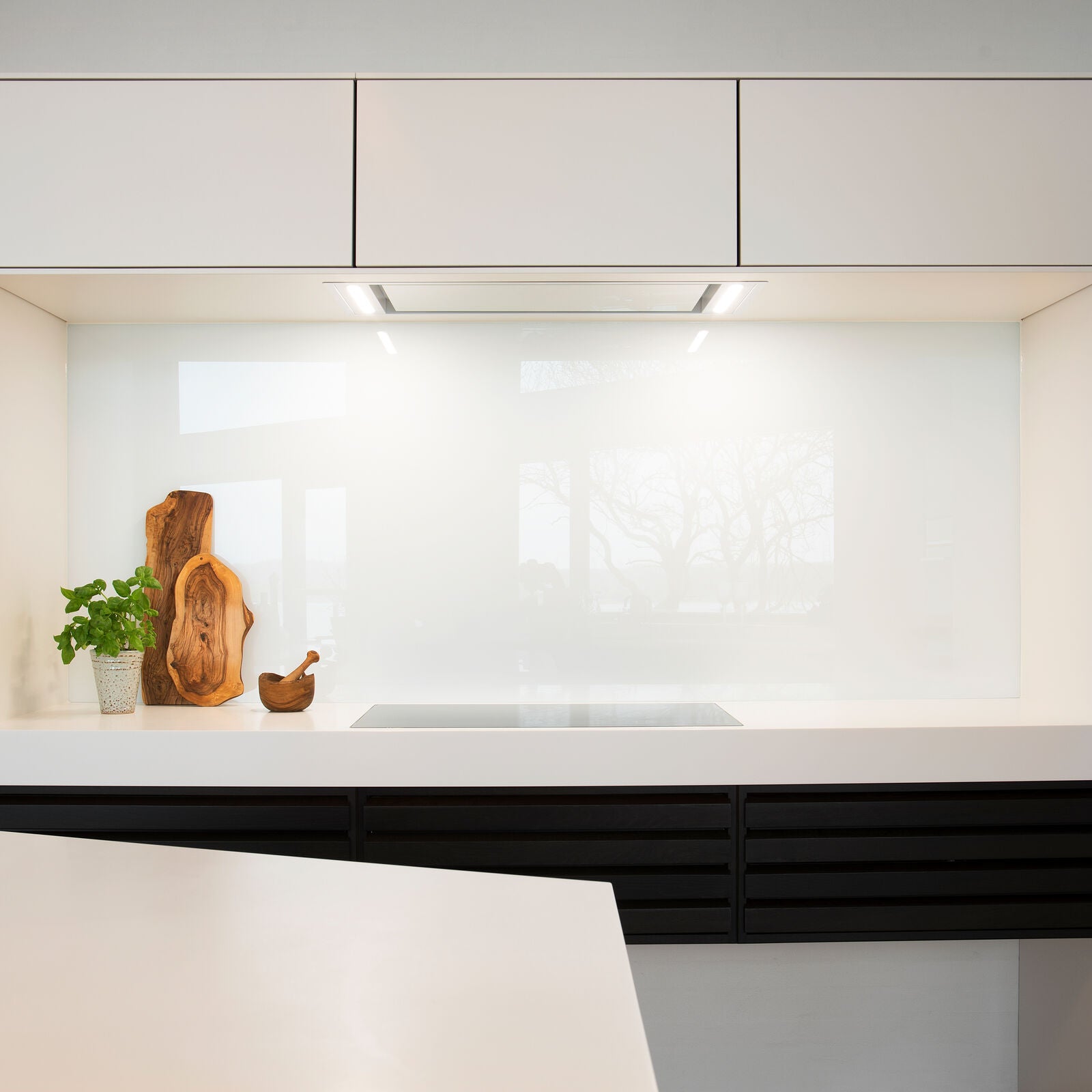 Witt WS 958-3 Ceiling hood Stainless steel