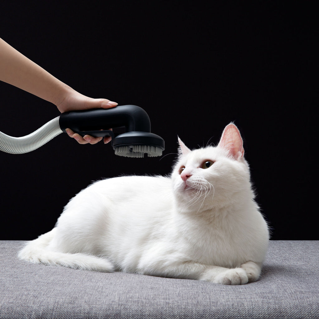 Roidmi Pet Brush Black