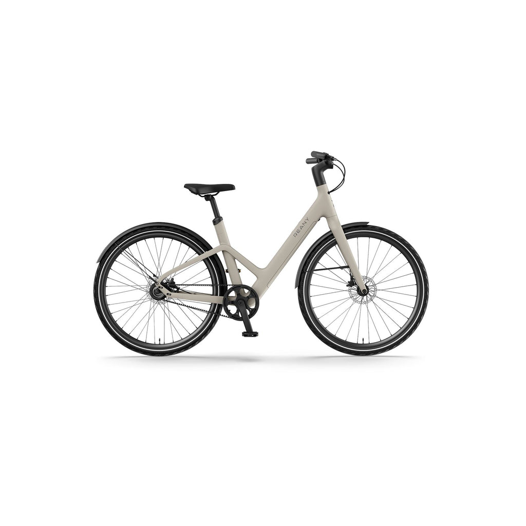 Reany W1 Pro City Desert Gray