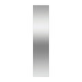 Fisher & Paykel Steel Door RS46R Stainless Steel