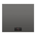 Fisher & Paykel CI604DTTG1 Induction hob Grey